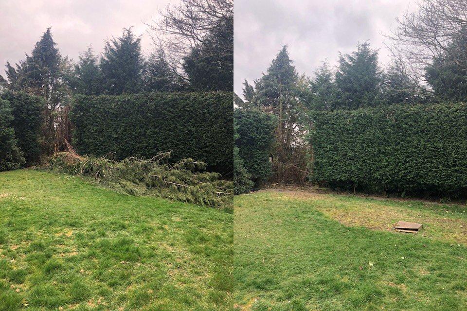 Storm damaged conifer removed in Boldmere by Elms Tree Services