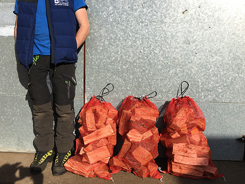seasoned-firewood-in-net-bags-size-compared-to-man