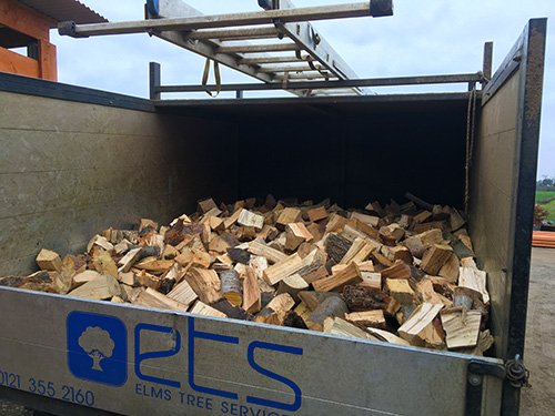seasoned-firewood-in-the-back-of-the-elms-tree-van